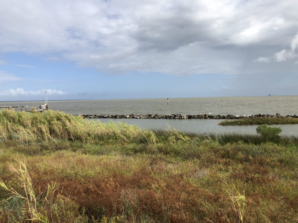 59077099733 3ac42bbb 04db 4db3 9dfb 349f1007b4ea