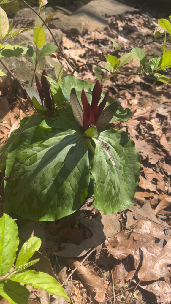 cjykmlnuyxbjagf0lzezljg0ljauntygkglqag9uzte0ldu7iglpuyayni4zlje7igd6axapiai=